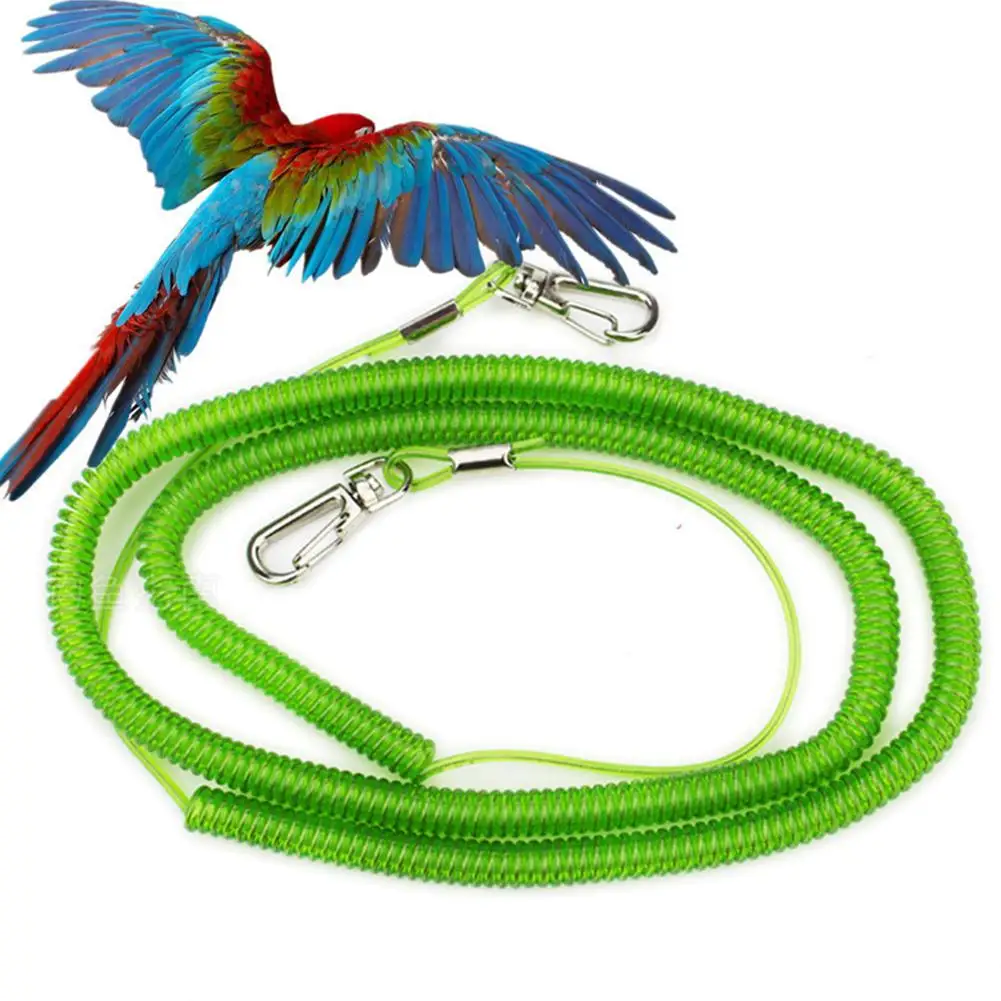 

TPFOCUS 8# Outdoor Flying Elastic Rope for Parrot Birds Training Random Color