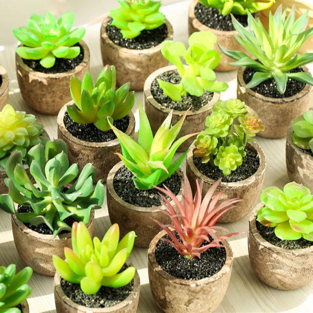 6 Pièces Plantes Succulentes Artificielles Dans Des Plantes En Pot