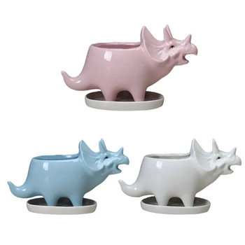 

Small Succulent Pots with Drainage Tray, Glazed White Ceramic Pot Triceratops R9JC