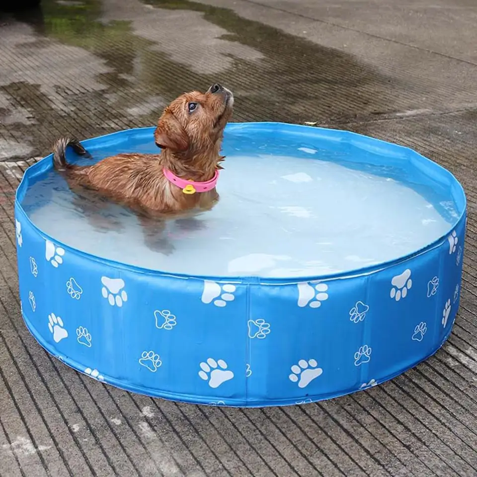 dog proof swimming pools