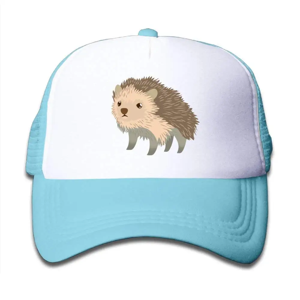 Сетчатая Бейсболка Snapback Hat милый маленький ежик мальчики-девочки, небесно-голубой, один размер