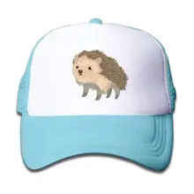 Сетчатая Бейсболка Snapback Hat милый маленький ежик мальчики-девочки, небесно-голубой, один размер