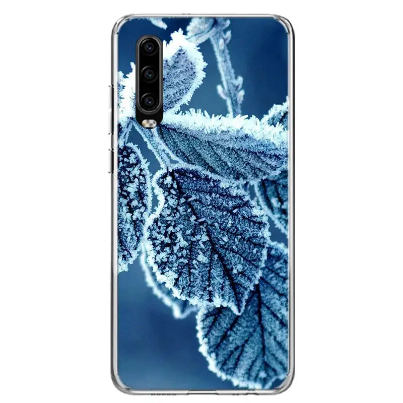TW151-4 Пейзаж зимний светильник Снежный чехол для телефона huawei P30 P20 mate 30 20 10 Pro P10 Lite P Smart Z+ Coque Shell Capa - Цвет: TW151-4