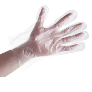 

Disposable Plastic PE Gloves Food and Beverage Beauty salon Medical Home Use Transparent Disposable Glove 300pcs/Lot