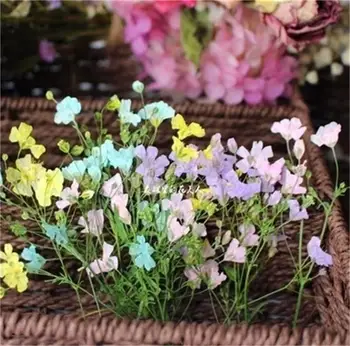 

Gypsophila Dried Flower Flower Embossing Material Frame DIY Dried Flower Specimen