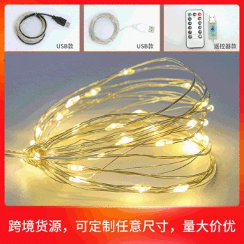 

Copper Wire Colorful Lights Wedding Christmas Holiday Lighting Processing Waterproof USB Remote Control LED Light String
