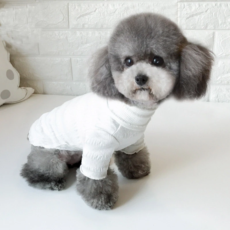 off white dog clothes