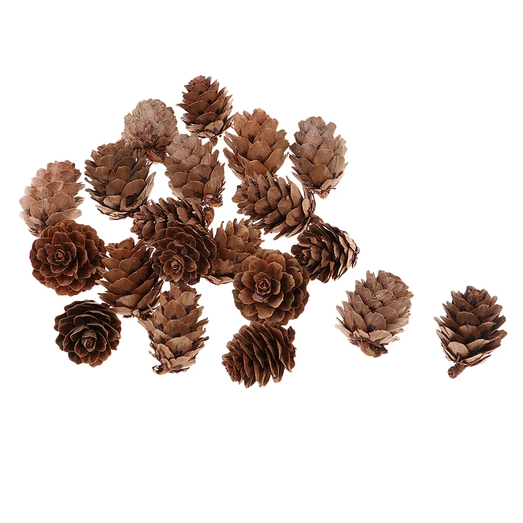 20pcs 2.5x3cm Small Pine cones Decorative Pine Cones Festival Vase Filler Snow White Christmas Tree pendants 