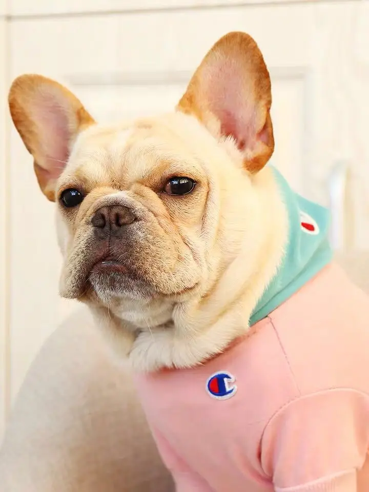 Наряд для французского бульдога, одежда для полных собак Corgi Bagger, наряд для домашних животных, синяя, розовая шляпа с вышитой монограммой, толстовка с капюшоном, теплая и удобная