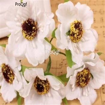 

Ngryise 8000Pcs A Set poppy flower