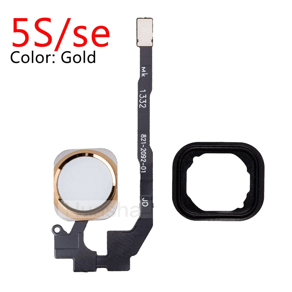 5S-Gold-02