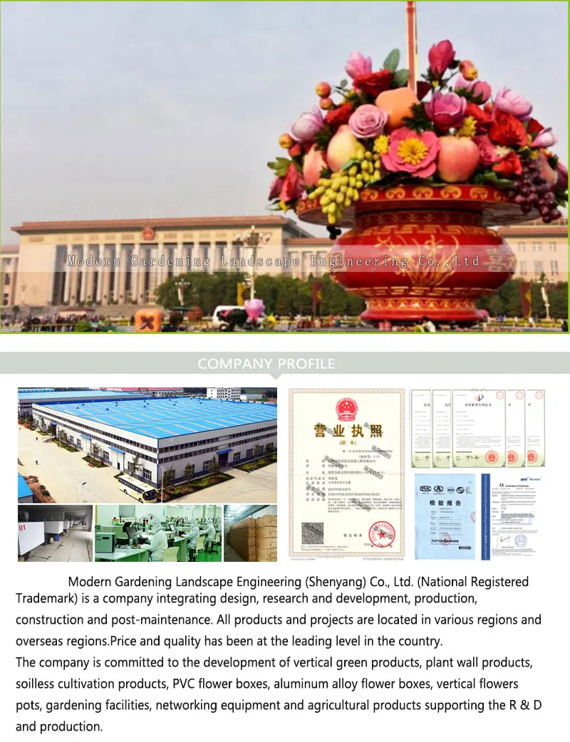 详情页英文版_02