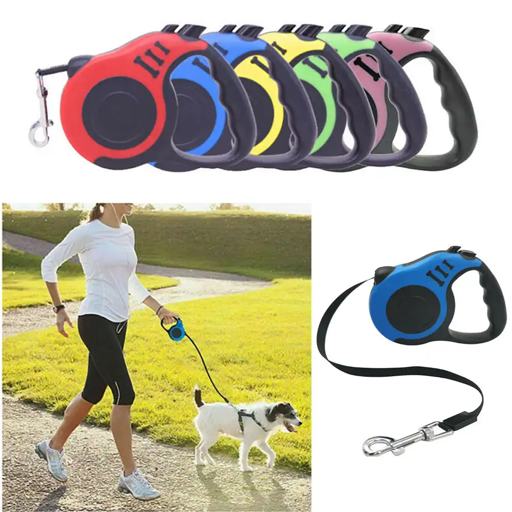 5m dog leash