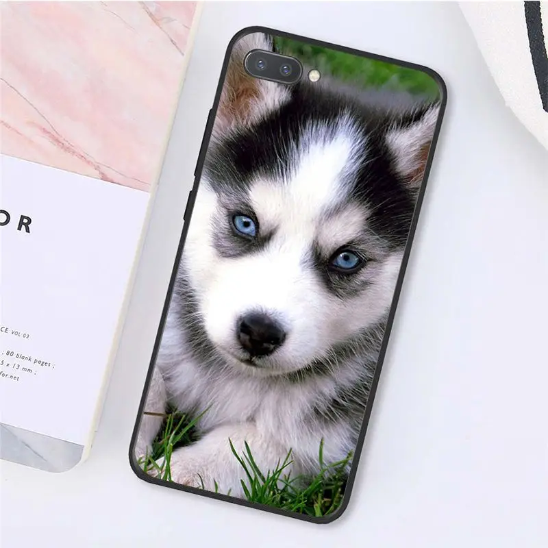 MaiYaCa животных Собака Хаски чехол для телефона для huawei смартфона Honor 8X9 10 20 Lite 7A 8A 5A 7C 10i 20i View20