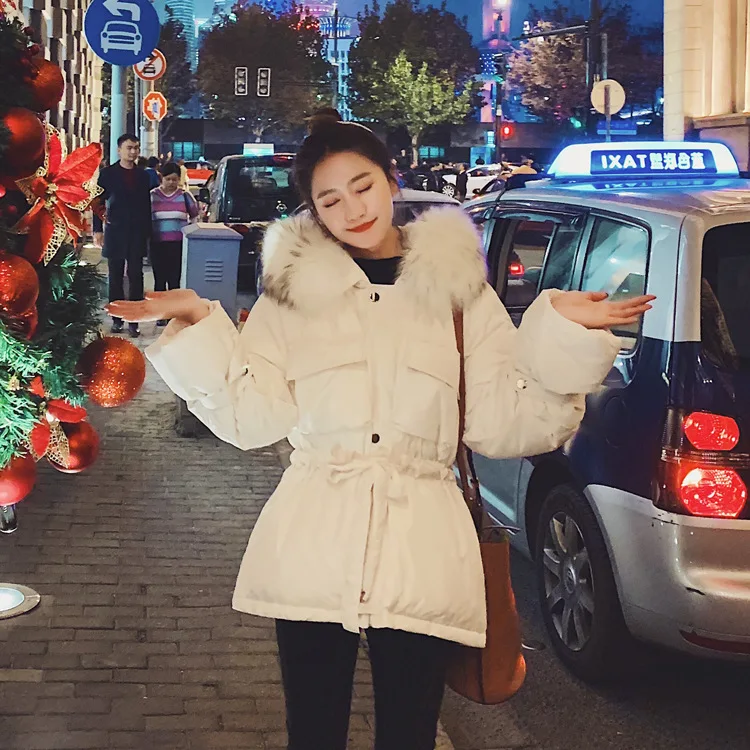 

Photo Shoot Cotton Coat Women's Short 2019 New Style Korean-style Students Thick Short-height Large Fur Collar INS Cotton-padded