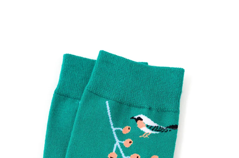 Унисекс на осень/зиму х/б носки Для мужчин Для женщин носки детские носки с мультяшными рисунками носки с принтом Творческий завод цветы литературный Стиль Повседневное тренд 5 расцветок, пар/компл