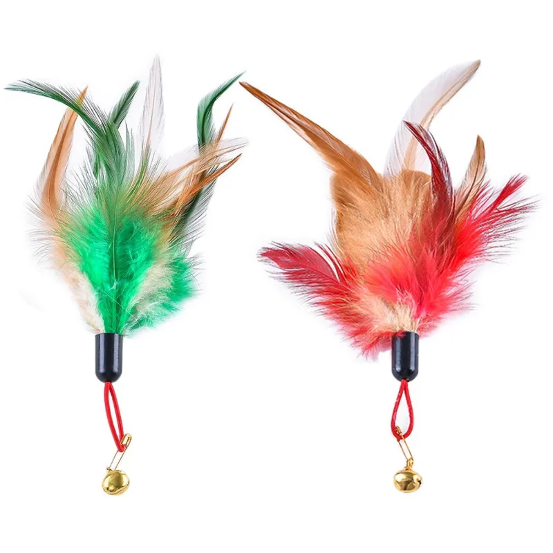 JL981 (6)