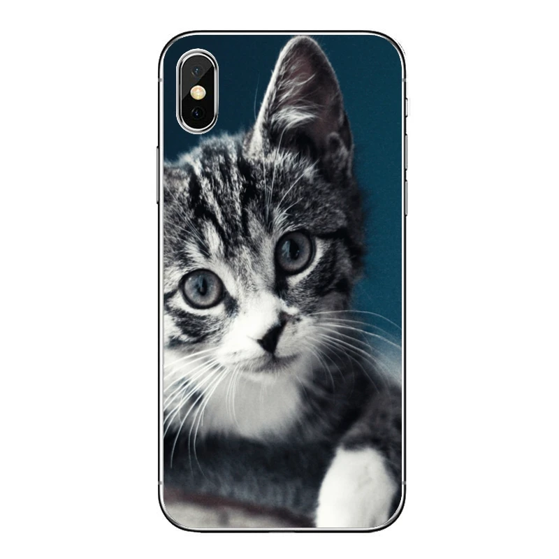 xiaomi leather case chain Soft Case For Xiaomi Redmi Note 8 7 6 5A 4 Pro Redmi 7 7A K20 6 6A 5A 4A 4X 5 Plus S2  Cute kitten cat Silicone Cover phone cases for xiaomi Cases For Xiaomi