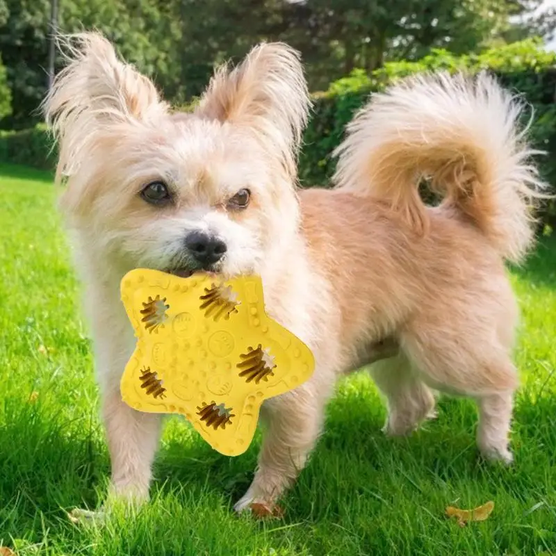Puppy Bite Resistance Rubber Toy Wear-resistant Pentagram Round Shape Interactive Dog Snack Pet Training Supplies |