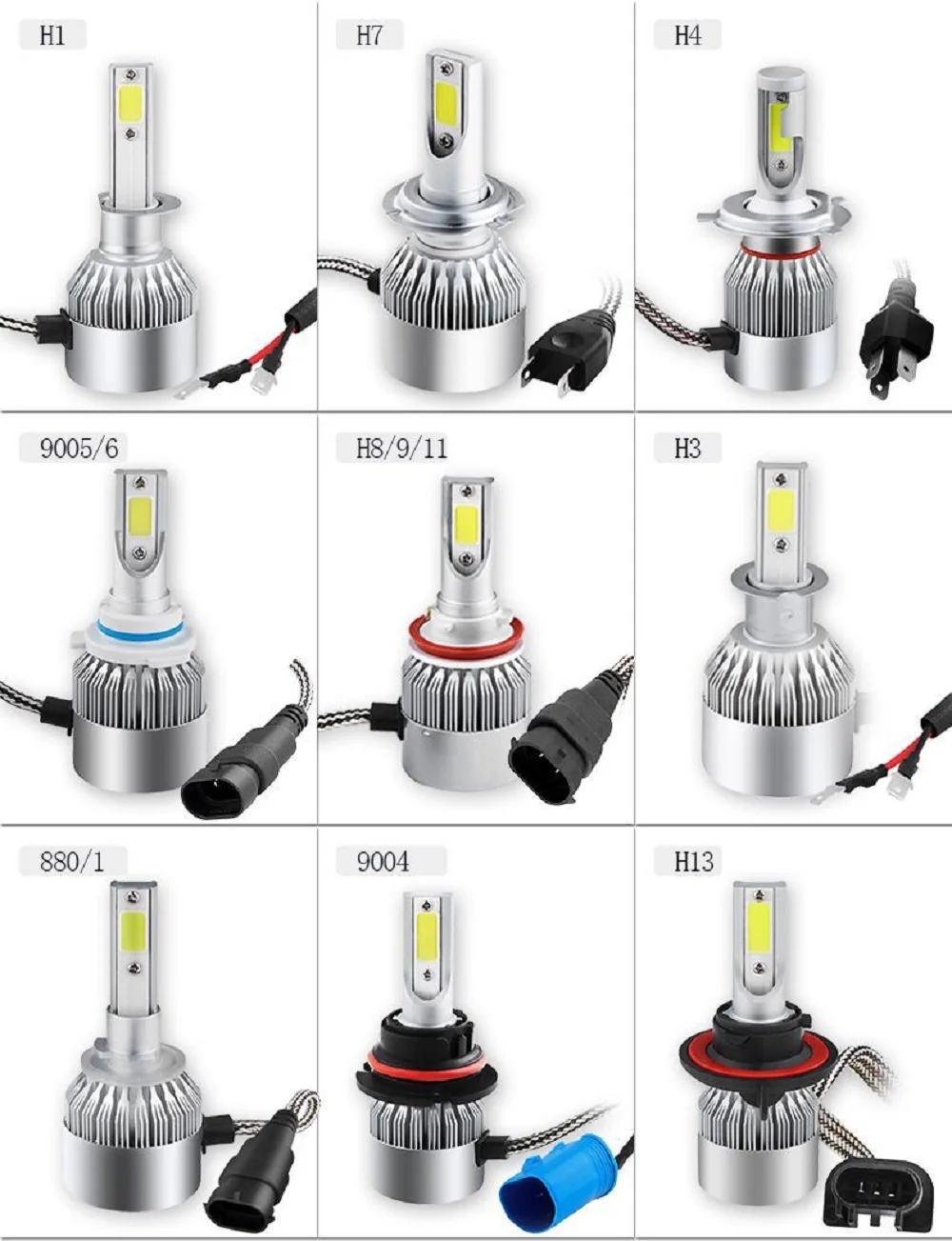 3986508077_1687903628