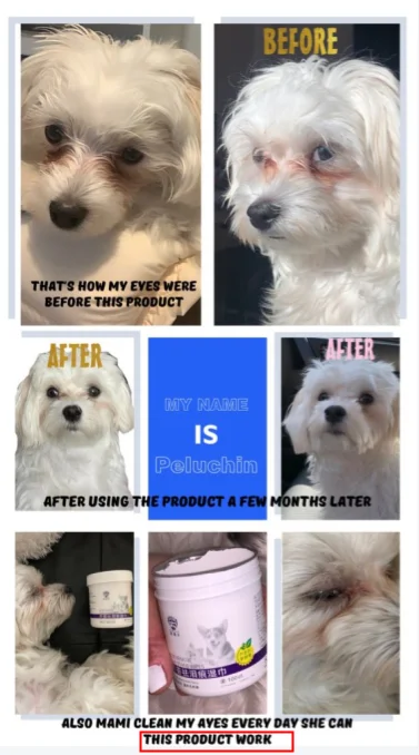 0162EA95-95E7-4615-A7A2-BB0BD3E9BAD0