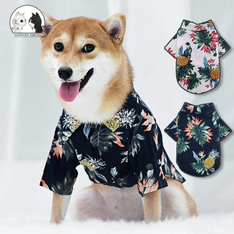 dogs with outfits
