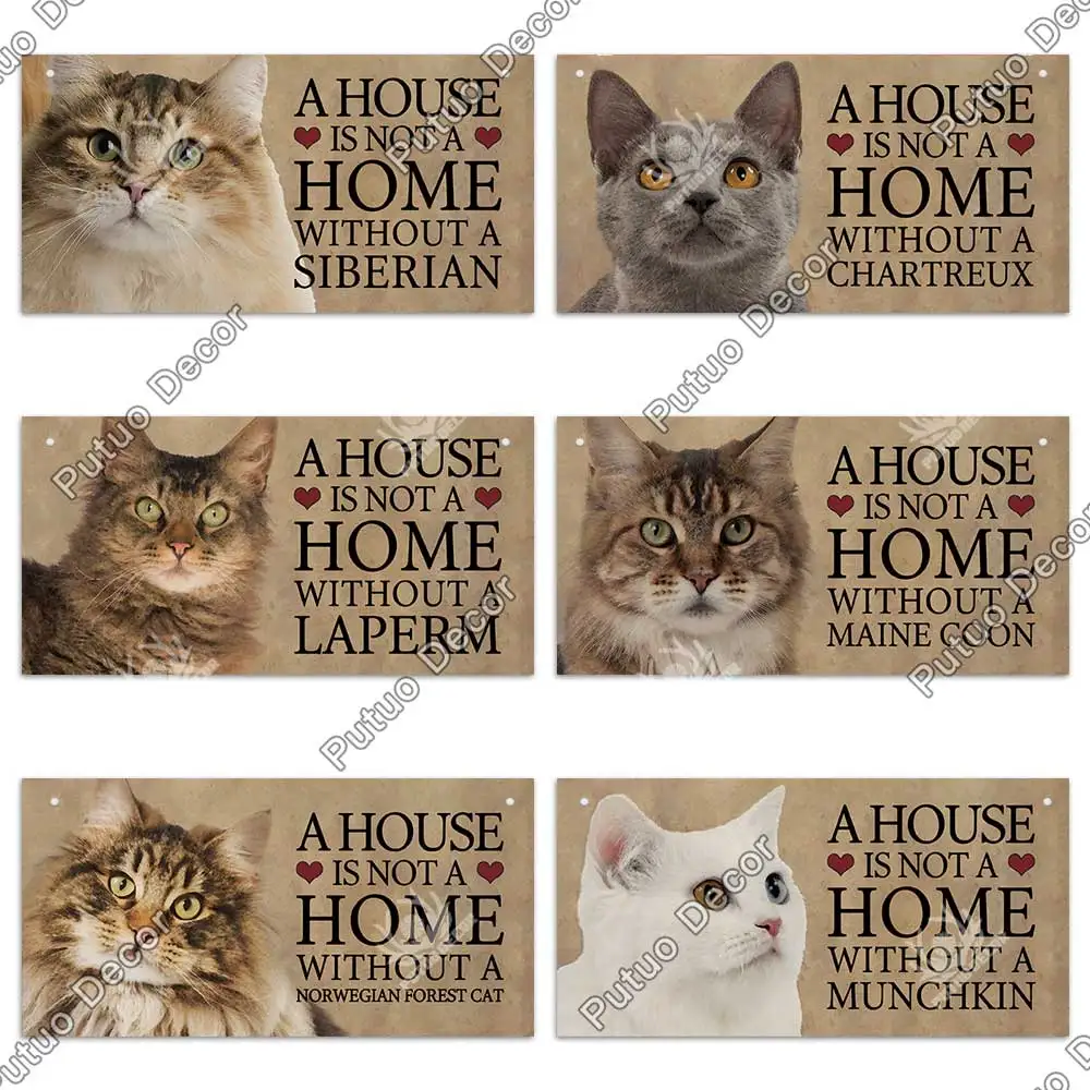 H44477516b77a4c9c91ef1a6be7d992f5M.jpg?width=1000&height=1000&hash=2000