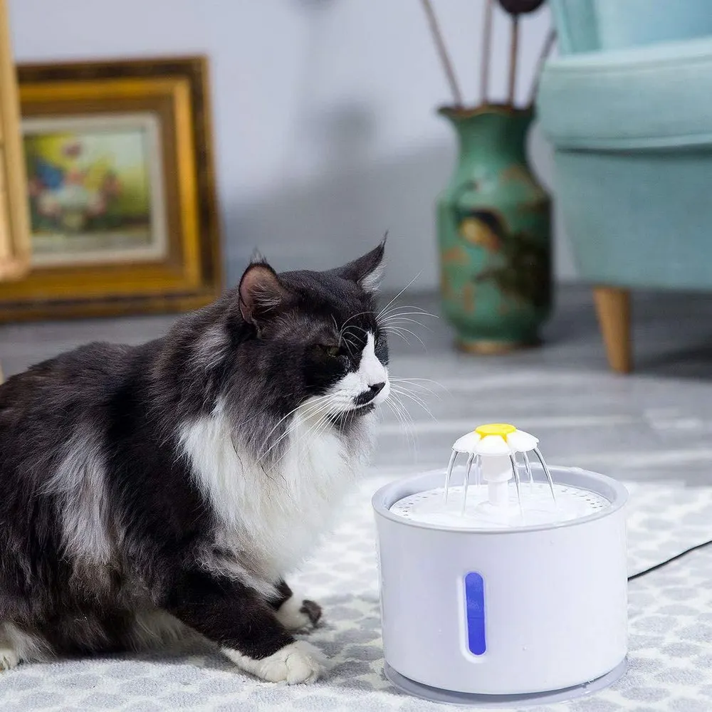 2.4L Pet Waterer Автоматическая циркуляционная кормушка кошка и питьевая вода для собак Светодиодный визуальный автоматический отвод воды