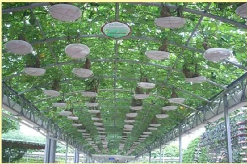 QQ截图20200822183934