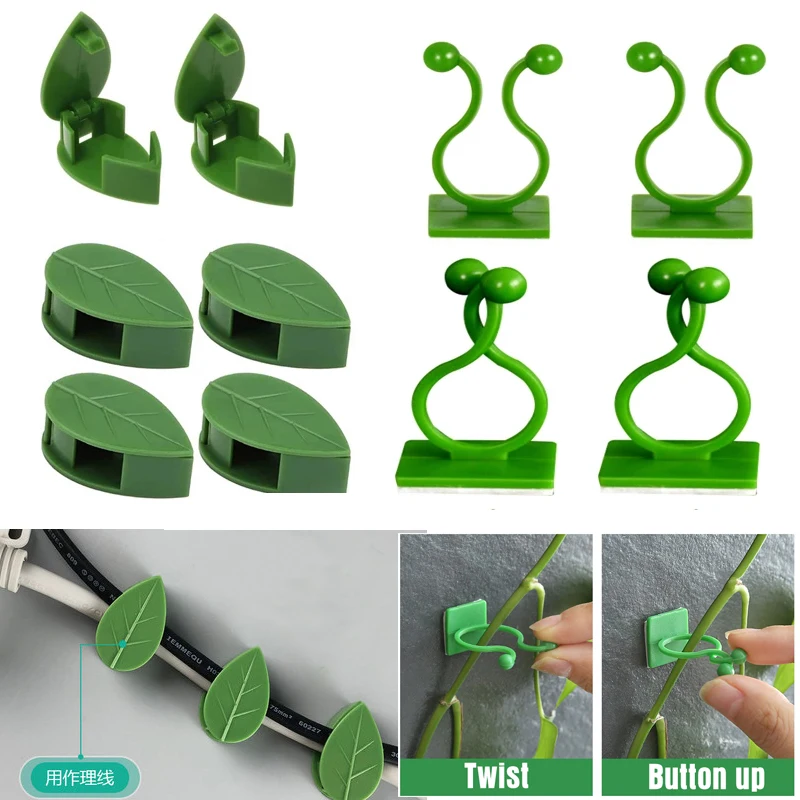 Invisible Wall Rattan Clamp Plant Climbing Wall Self-Adhesive Fixator Vine Buckle Hook Rattan Fixed Clip Bracket Plant Stent Sup plant ties,plastic plant cable ties,plastic plant supports,plant clips,plastic plant clips,plant climbing support,plant support racks,plant adhesive hooks,plant wall hooks,climbing plant trellis