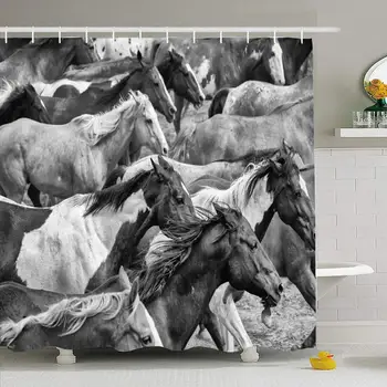 

Shower Curtain Set with Hooks 72x78 Black Horse White Herd Horses Nature Running Up Beautiful Ranch View Side Quarter Animals
