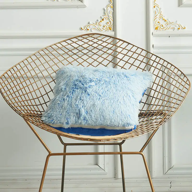 11542205725_1172972991