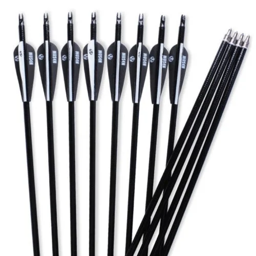 

Arrow Archery Hunting Black and White Fiberglass Arrow with Replaceable Arrowhead Spine 500 for Recurve/Coumpond Bows Archery