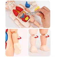 3D Human Body Anatomy Puzzle - Educational Organ Model for Kids STEAM Learning