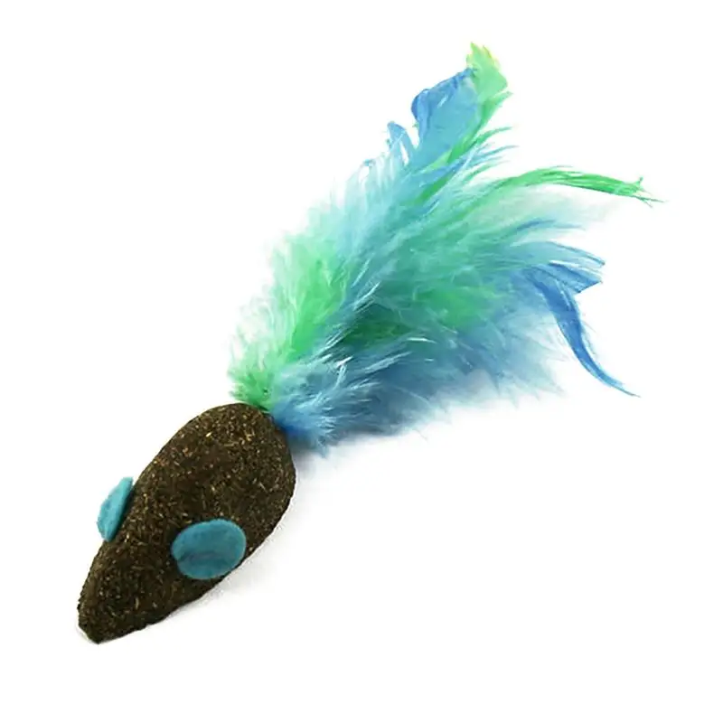 2pcs Catnip Cat Toy Feather Toys Vegetable Flavor Faux Feather Mouse