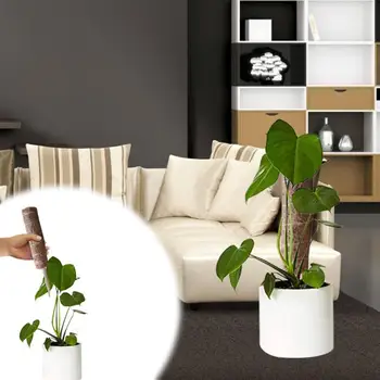 

Plant Climbing Coir Totem Pole Safe Gardening Coconut Palm Stick For Plant Support Extension Climbing Indoor Plants Creepers