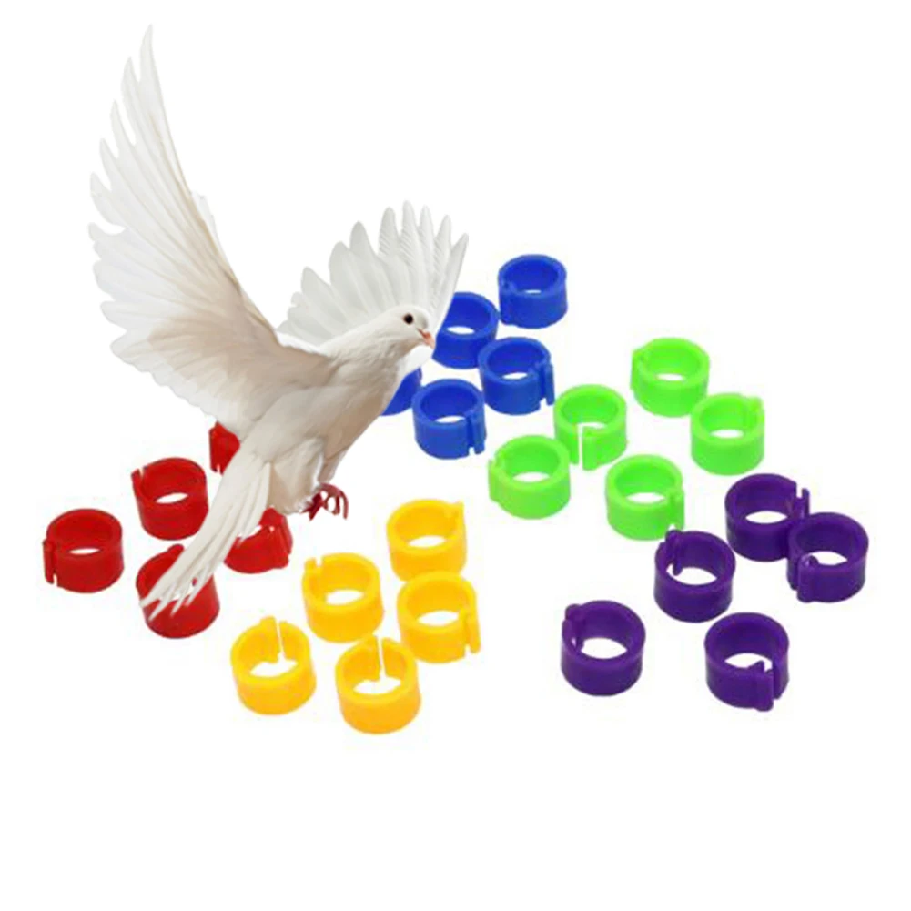 100 шт пластиковые кольца на ноги для птиц, птицы, утки, голубей, голубей, попугая