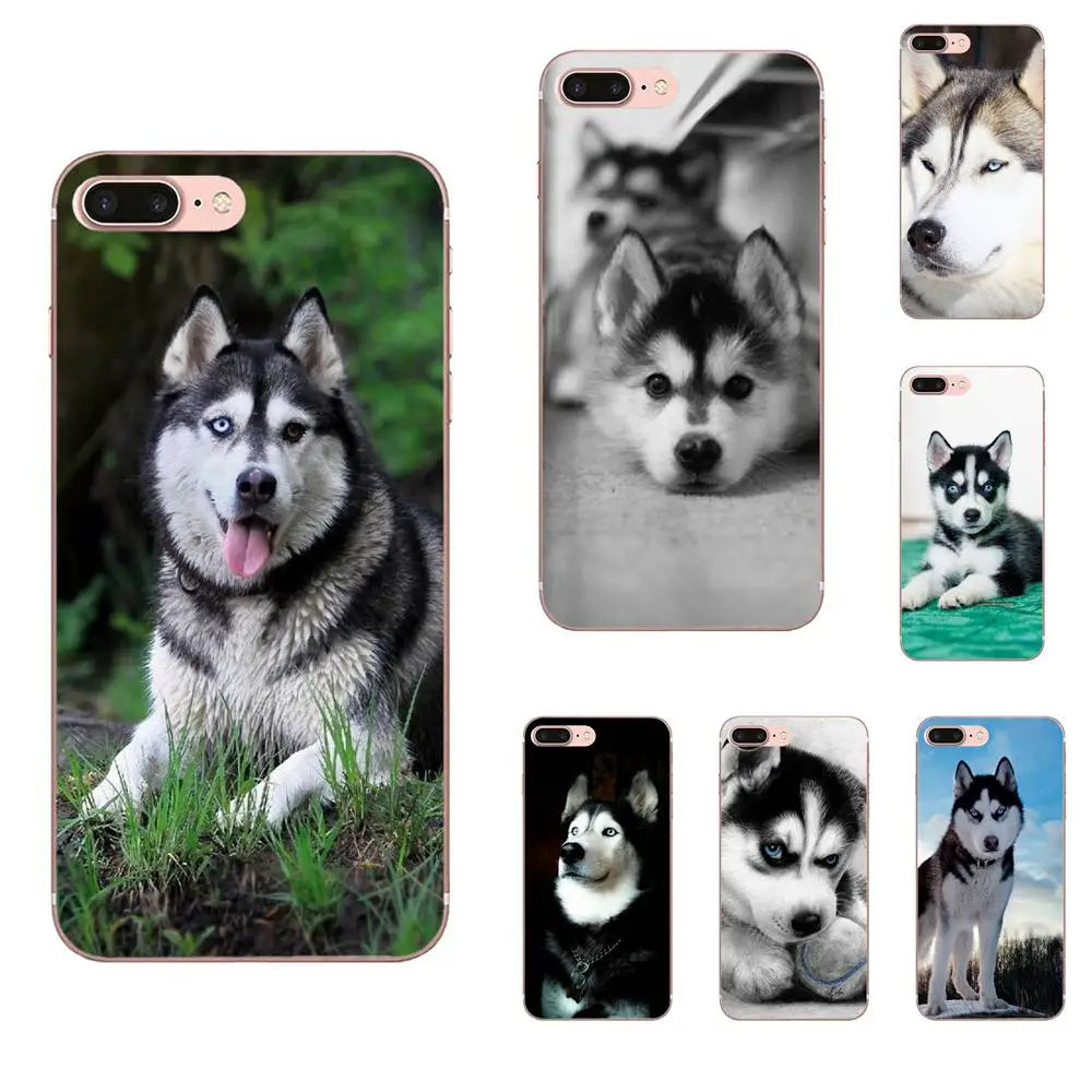 Wacky Husky новый персонализированный ТПУ крутой лучший для Xiaomi Redmi Note 8 8A 8t 10 K30 5G Pro