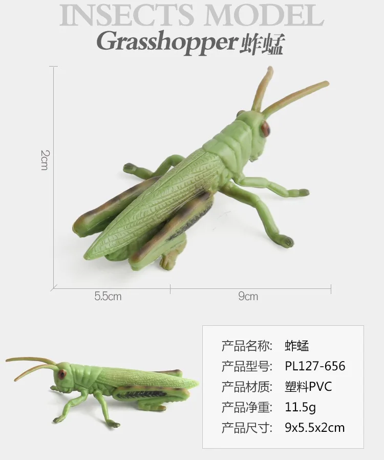 IMG_8981(20200818-111151)