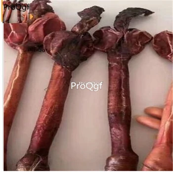 

Ngryise 2Pcs A Set Deer whip