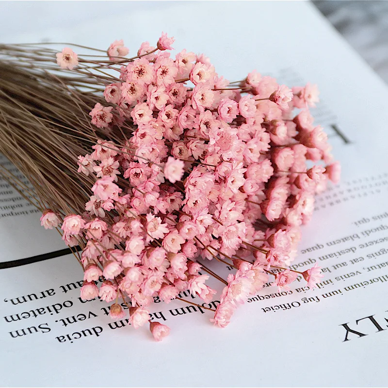 Air Dried Baby Breath-natural Dried Baby Breath-flowers for Resin -   Israel