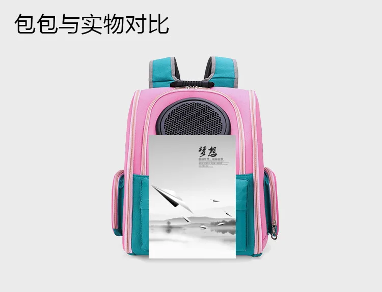 12336343455_686886075