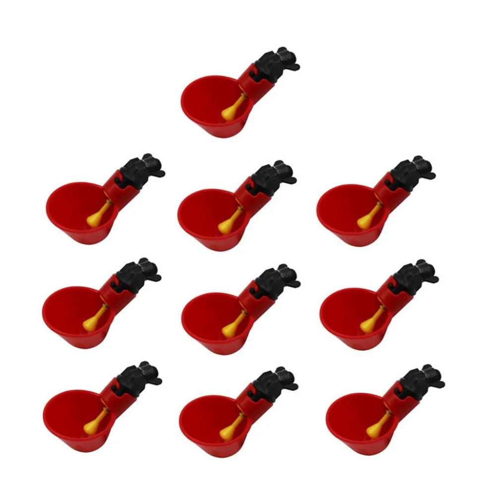 FHU200428084_0943235982564482623