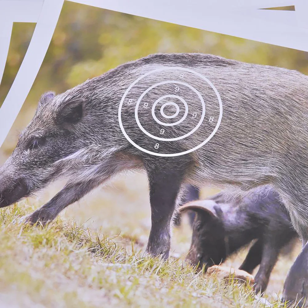 10695262894_1466750872