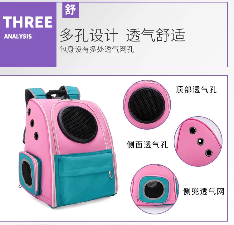 12336349312_686886075