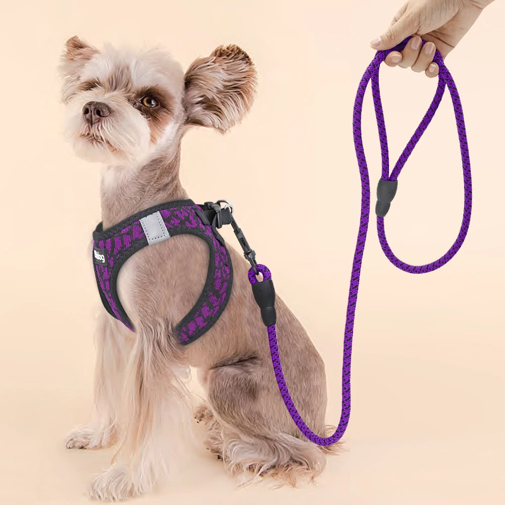 Breathable Dog Harness and Leash Set Reflective Mesh Pet Puppy Harness Vest Lead Leahes Chihuahua Harness For Small Dogs