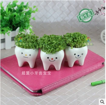 

Bonsai Ceramic UOUwer Pot DIY Small Planter Succulent Plants Tooth Design KAR