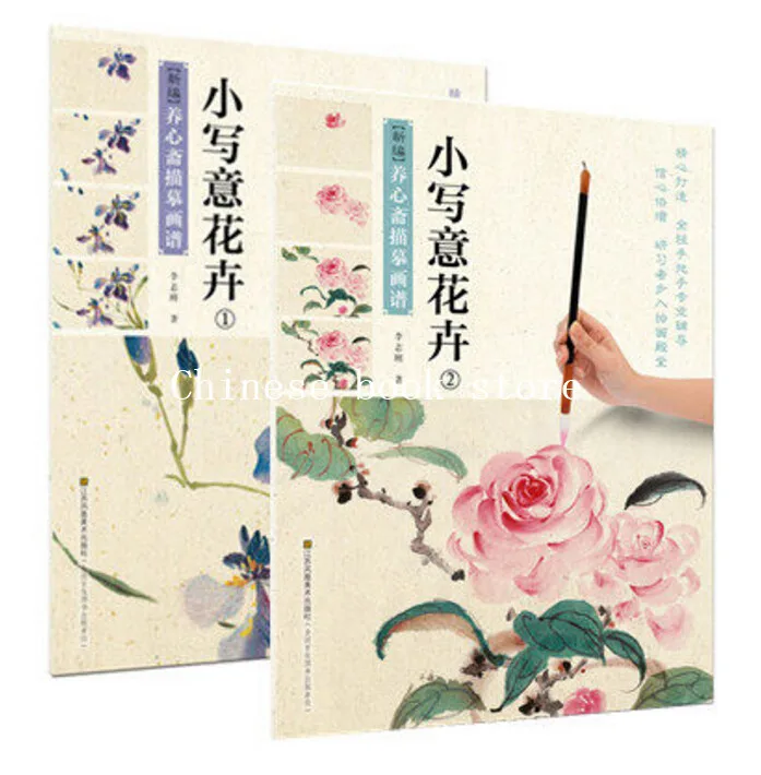 Libro da colorare con disegno cinese fiori per principianti. matita uccelli e insetti