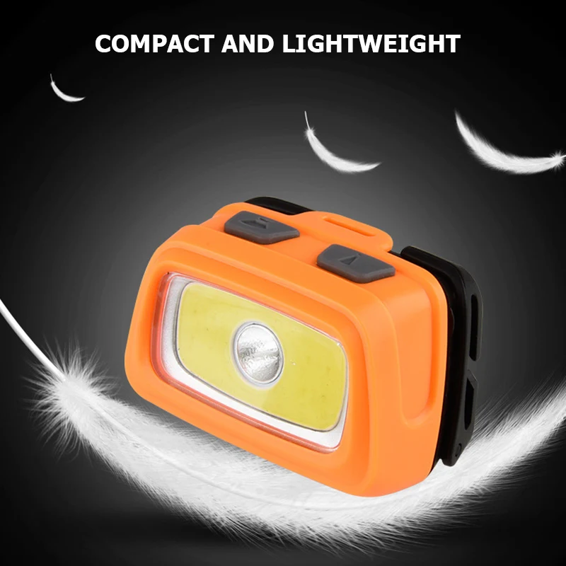 11553860297_1050429948