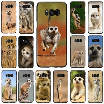 

Animal baby meerkat Soft Silicone phone case for Samsung GaLaxy S6 S7 Edge S8 S9 S10 Plus S10e M10 M20 M30 Note 8 9
